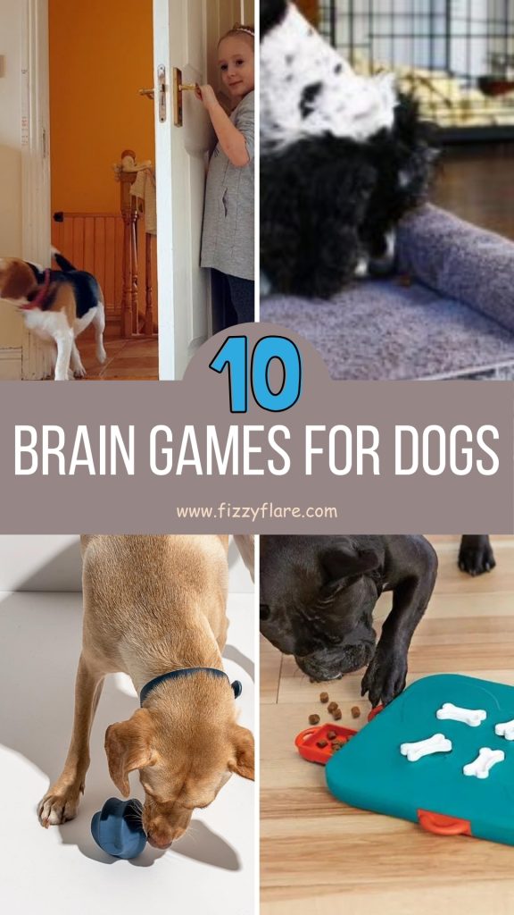 Brain Games for Dogs
