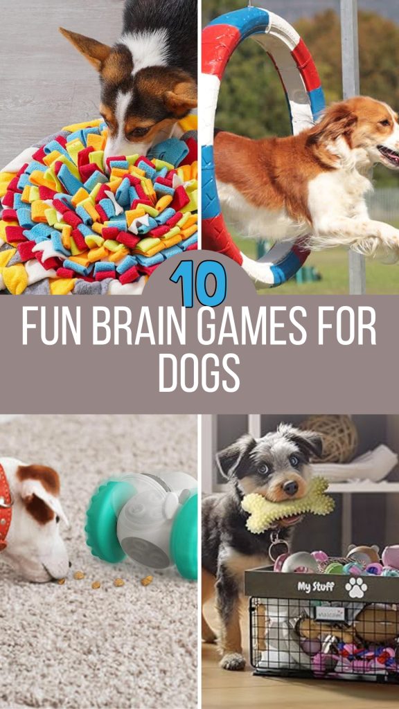 Brain Games for Dogs