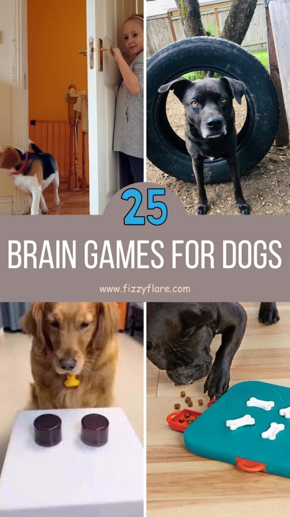 Brain Games for Dogs