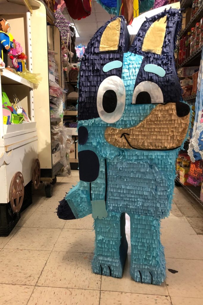 bluey birthday party ideas