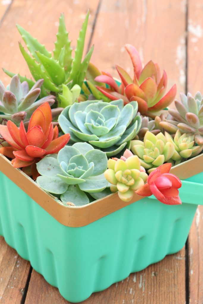 party centerpiece ideas