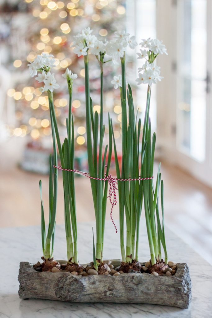 party centerpiece ideas