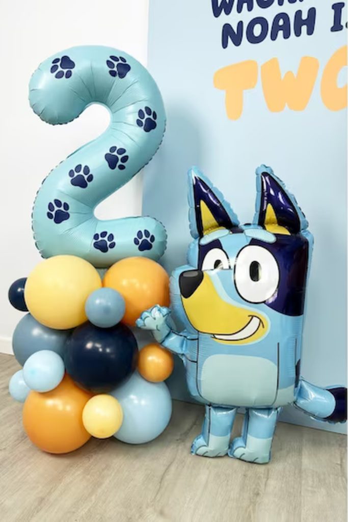 bluey birthday party ideas