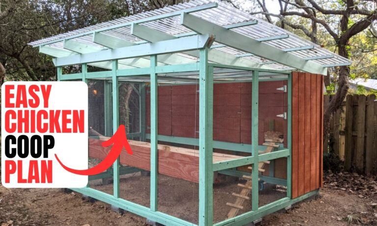 23 Easy DIY Chicken Coop Plans for 2025