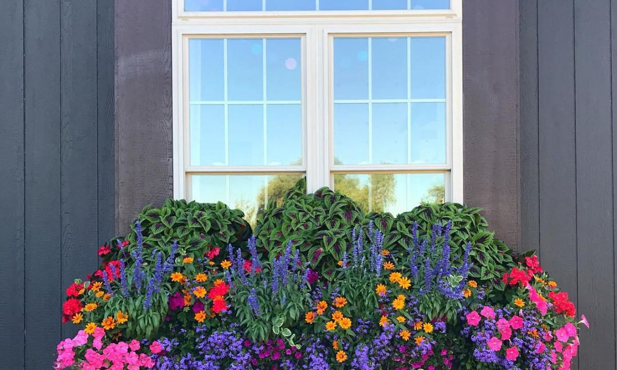 21 DIY Window Boxes Ideas for 2026 – Fizzy Flare