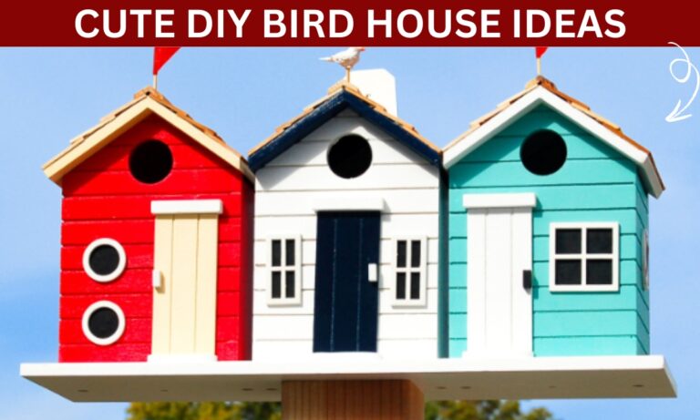 24 DIY Bird Houses Ideas for 2025