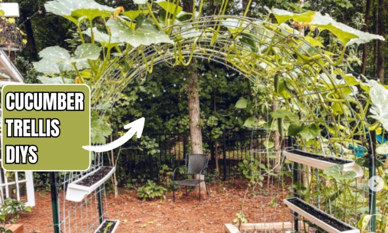 15 Cucumber Trellis DIY Ideas for 2025