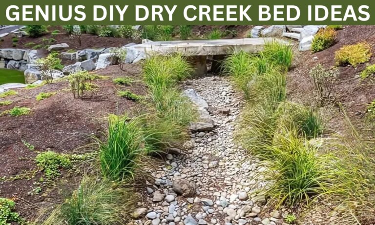 18 DIY Dry Creek Bed For Drainage Ideas for 2025