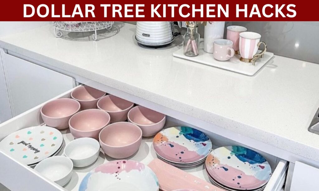 18 Dollar Tree Kitchen Organization Ideas for 2026 – Fizzy Flare