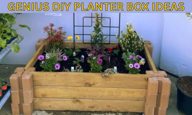28 Planter Boxes DIY Ideas for 2025