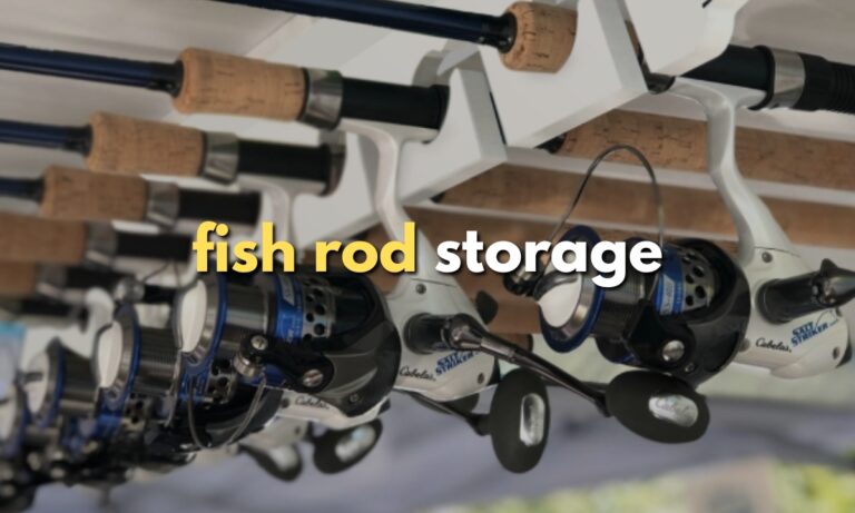 19 Fishing Rod Storage Ideas for 2025