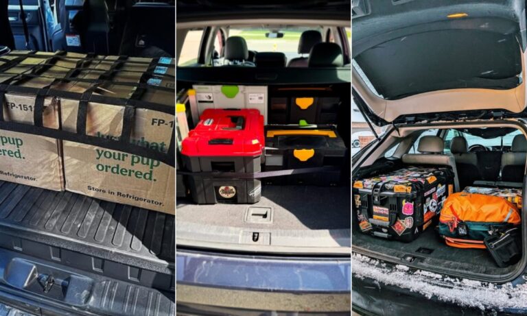 5 Car Trunk Organization Hacks That Make Life Easier in 2025