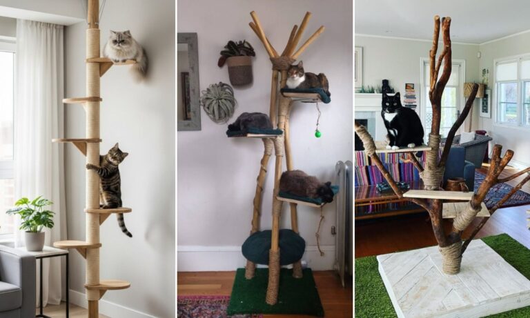 27 DIY Cat Tree Ideas For 2026