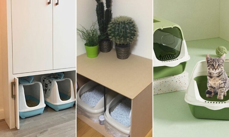 20 Cat Litter Storage Ideas for 2026
